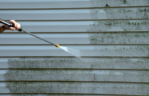 Best Roof Pressure Washing  in Fairfax, CA